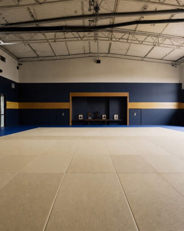 Le tatami de 400 m² du Complexe sportif des Falaises à Belleville-sur-Mer